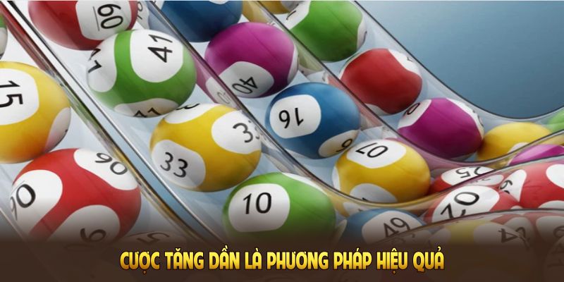 Cược tăng dần là phương pháp hiệu quả giúp bạn tăng khả năng chiến thắng