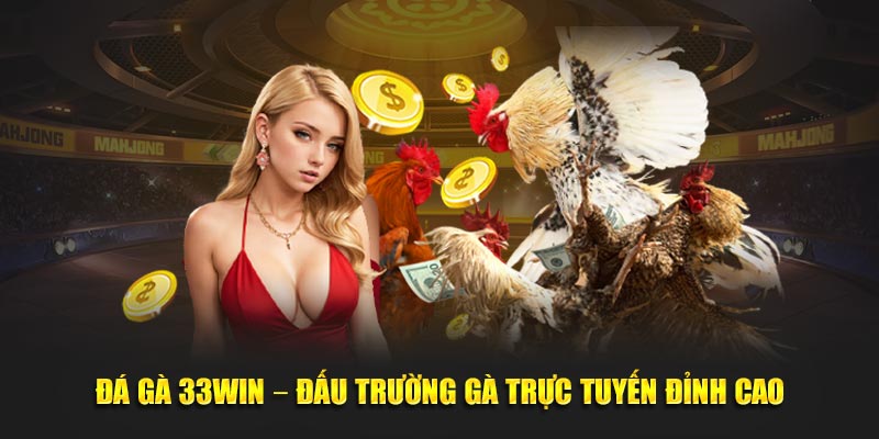 Cập nhật trường đấu uy tín có mặt tại sảnh đá gá 