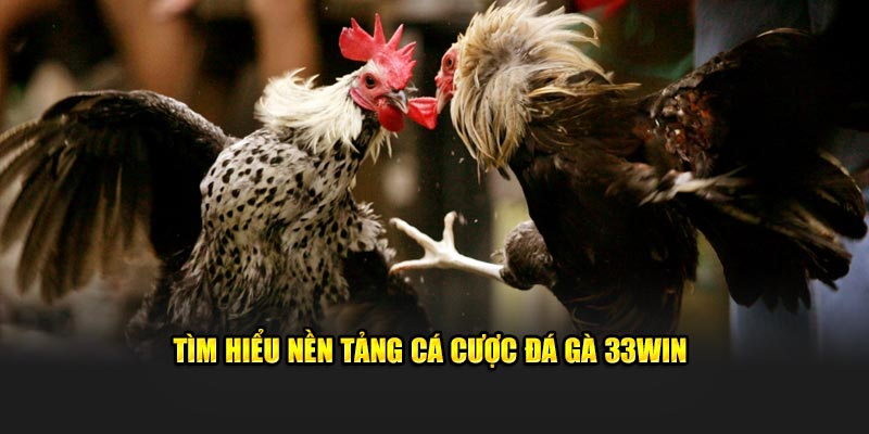 Giới thiệu sơ lược về thiên đường đá gà 33WIN uy tín